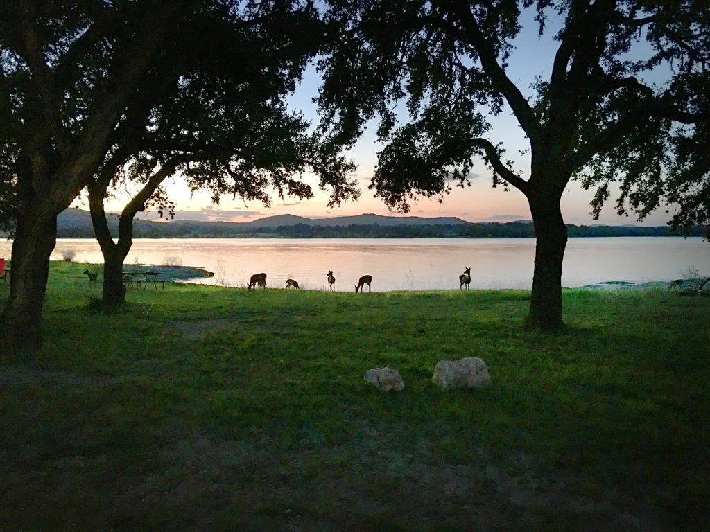Medina Lake Camping Resort Cabin 3 Lakehills Екстериор снимка